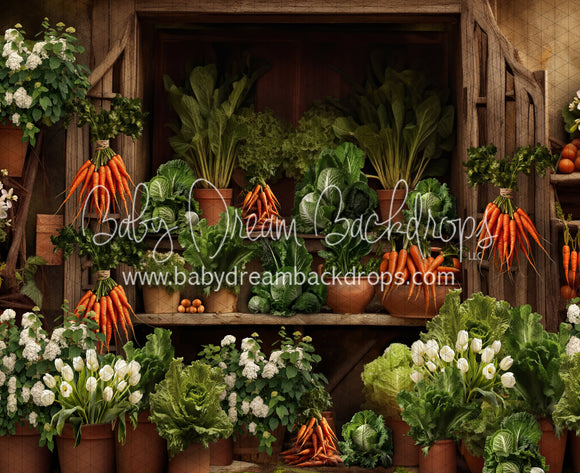 Carrot House Garden Shed (JA)