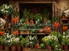 Carrot House Garden Shed (JA)