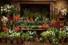 Carrot House Garden Shed (JA)