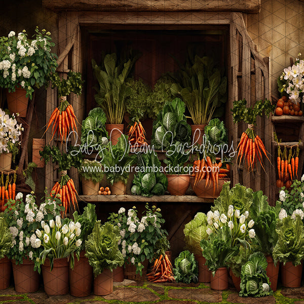 Carrot House Garden Shed (JA)