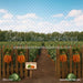 Carrot Patch Path (JA)