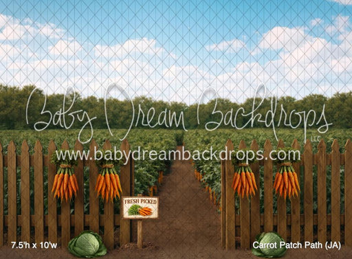 Carrot Patch Path (JA)