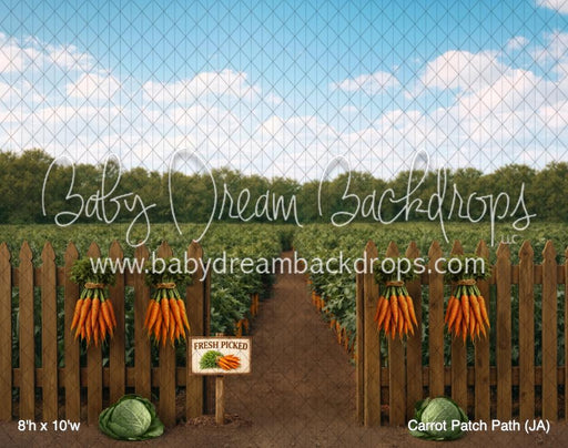 Carrot Patch Path (JA)
