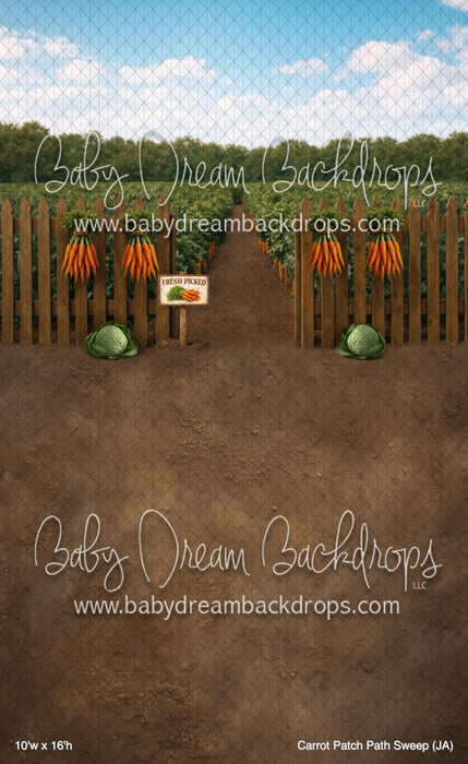 Carrot Patch Path Sweep (JA)