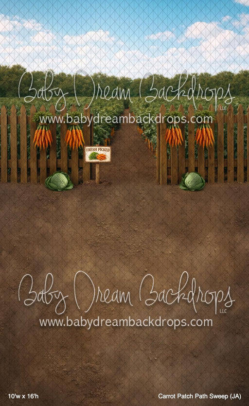 Carrot Patch Path Sweep (JA)