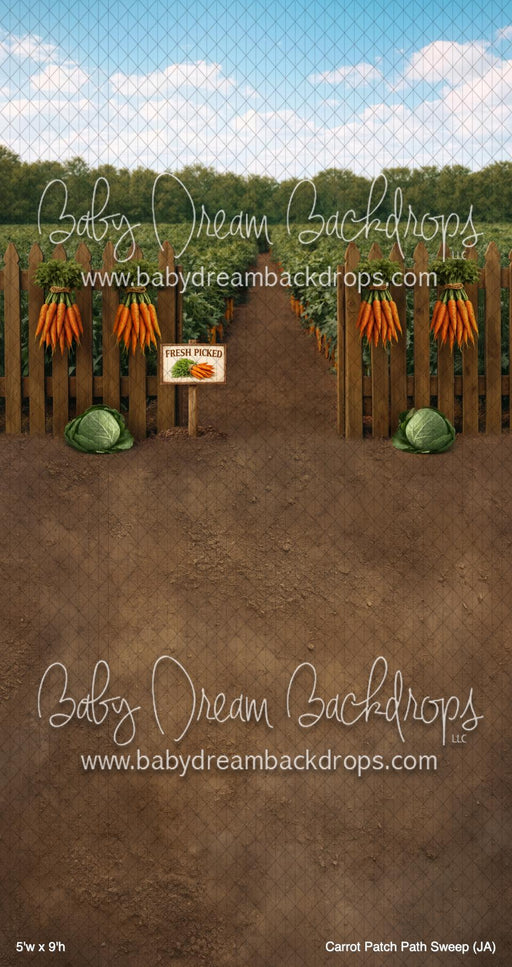 Carrot Patch Path Sweep (JA)