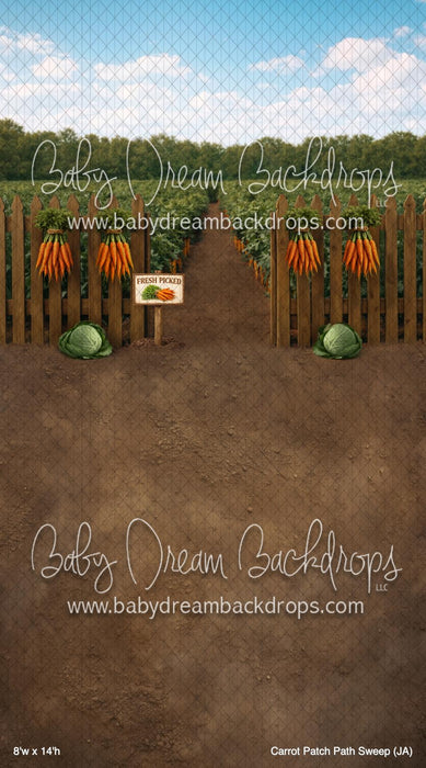 Carrot Patch Path Sweep (JA)