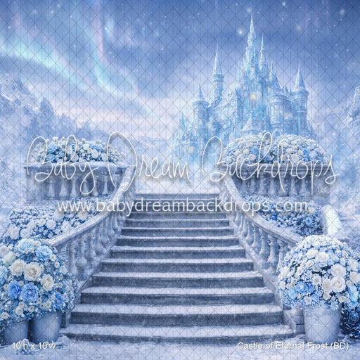 Castle of Eternal Frost (BD)