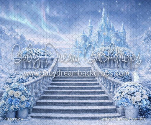 Castle of Eternal Frost (BD)