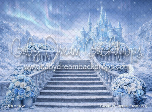 Castle of Eternal Frost (BD)