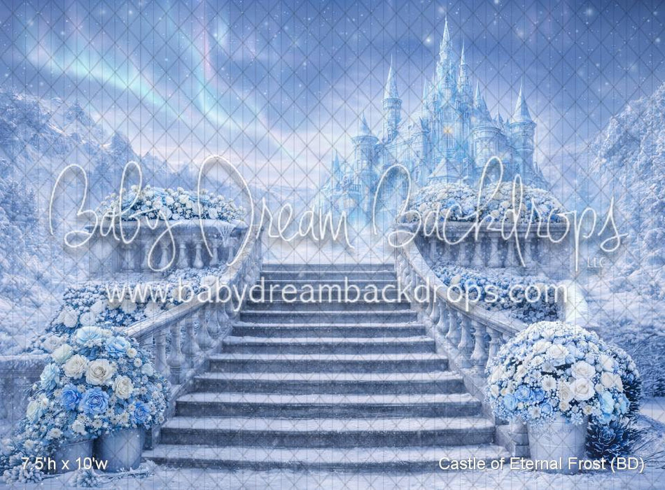 Castle of Eternal Frost (BD)