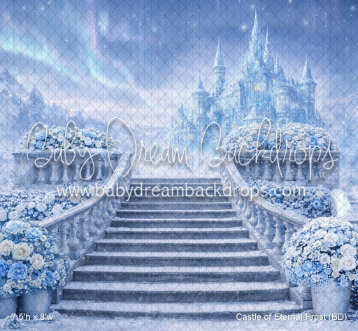 Castle of Eternal Frost (BD)