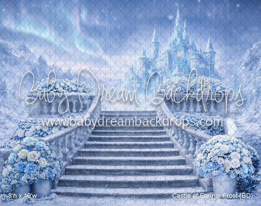 Castle of Eternal Frost (BD)