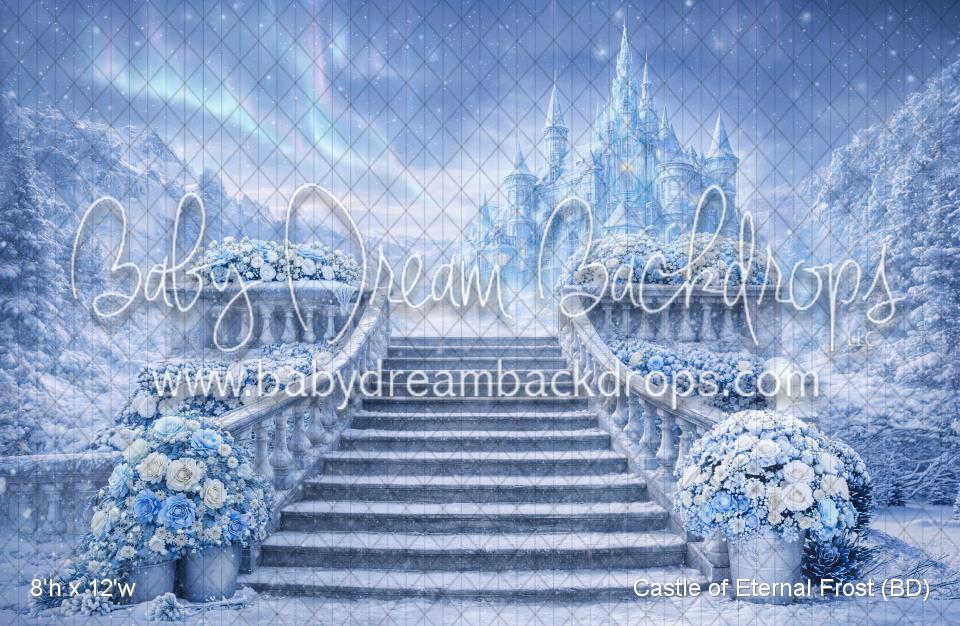 Castle of Eternal Frost (BD)