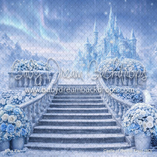 Castle of Eternal Frost (BD)