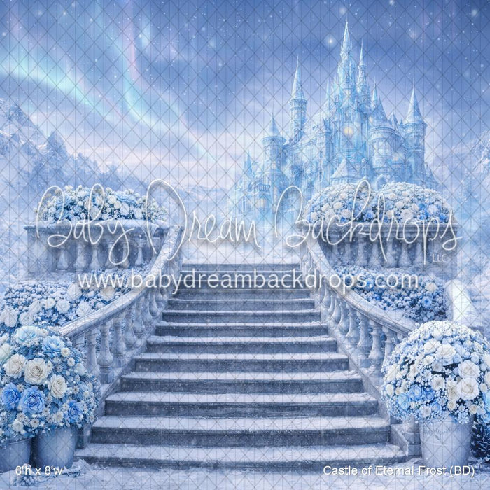 Castle of Eternal Frost (BD)