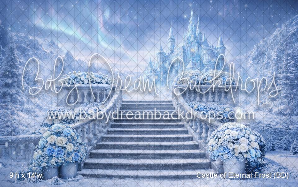 Castle of Eternal Frost (BD)