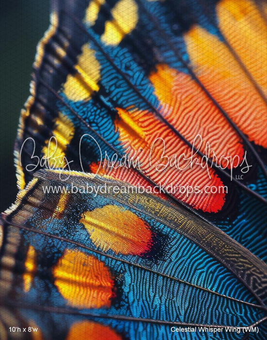 Celestial Whisper Wing (WM)