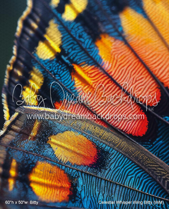 Celestial Whisper Wing Bitty (WM)