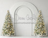 Champagne Sparkle Christmas Arch (MD)