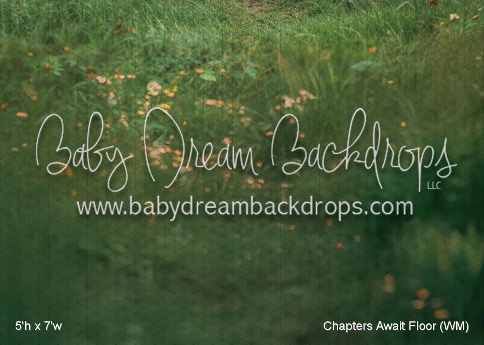 Chapters Await Fabric Floor (WM)