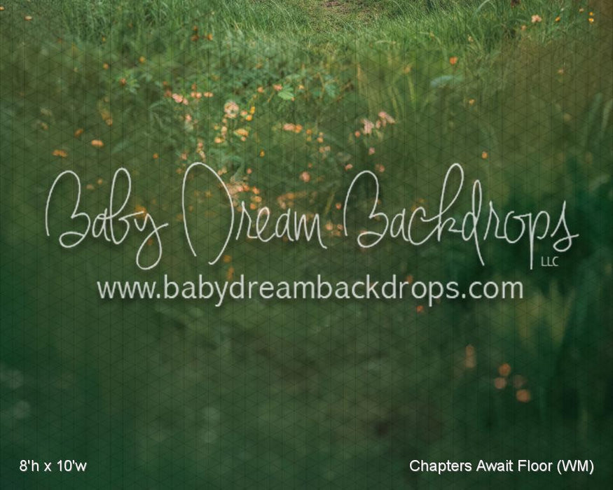 Chapters Await Fabric Floor (WM)