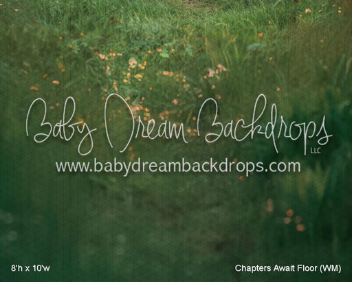 Chapters Await Floor (WM)