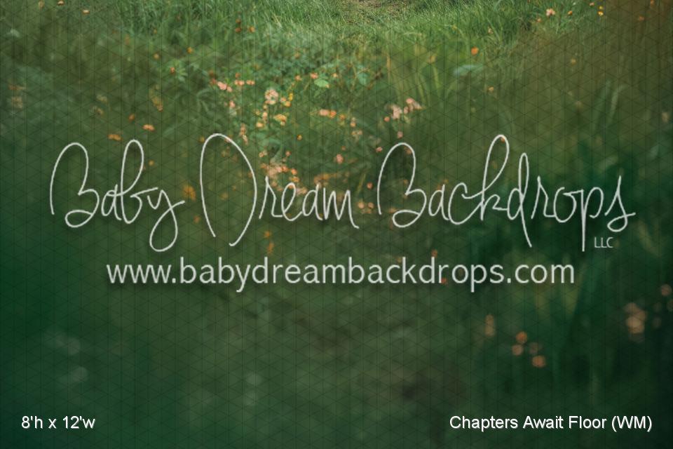 Chapters Await Floor (WM)