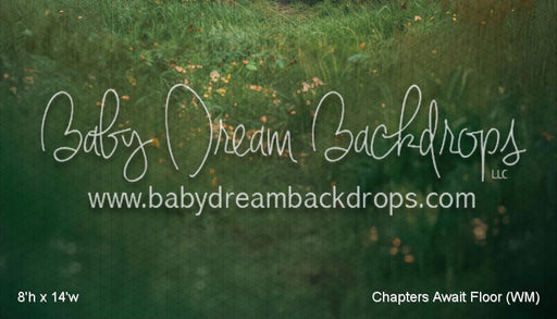 Chapters Await Floor (WM)