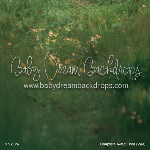 Chapters Await Floor (WM)