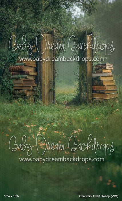 Chapters Await Sweep (WM)