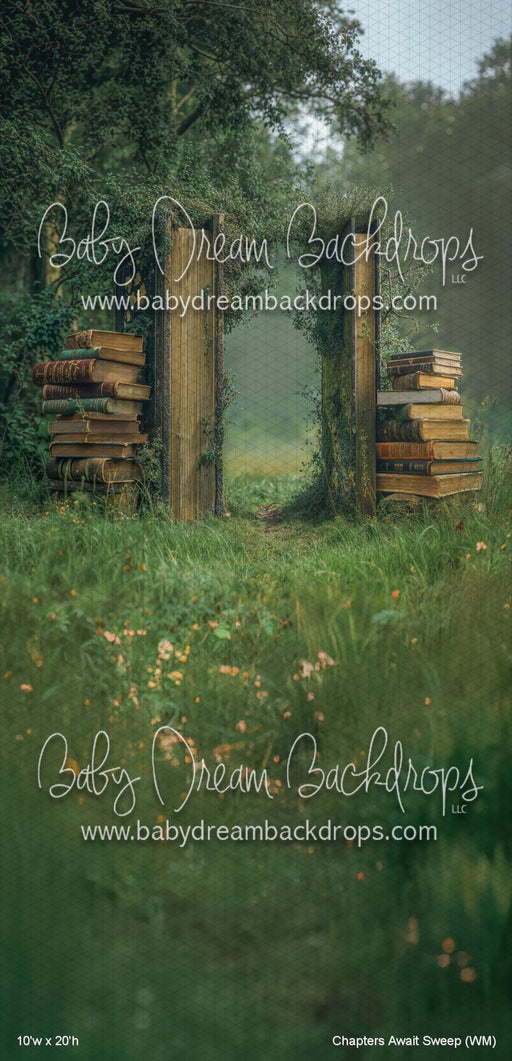 Chapters Await Sweep (WM)