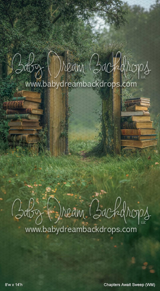 Chapters Await Sweep (WM)