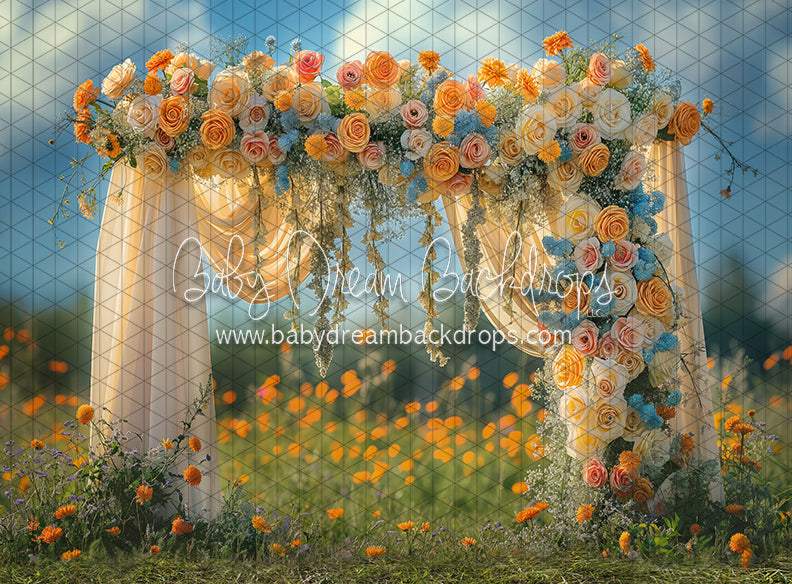 Cheer Me Up Arch (JA)