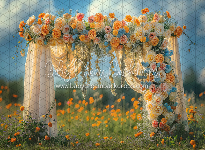 Cheer Me Up Arch (JA)