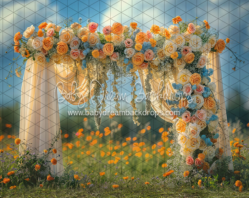 Cheer Me Up Arch (JA)