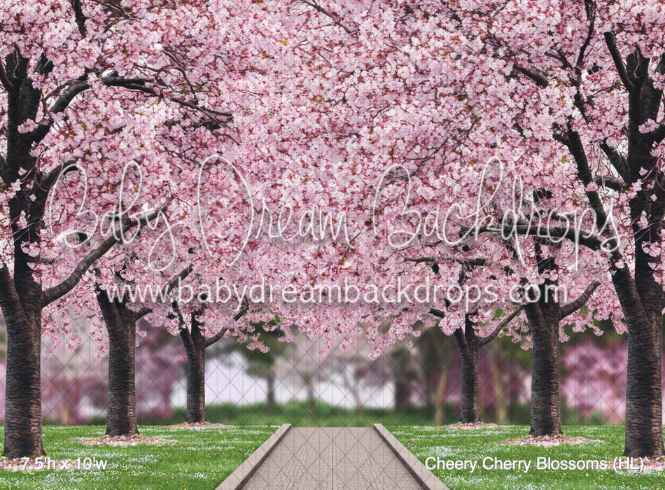 Cheery Cherry Blossoms (HL)