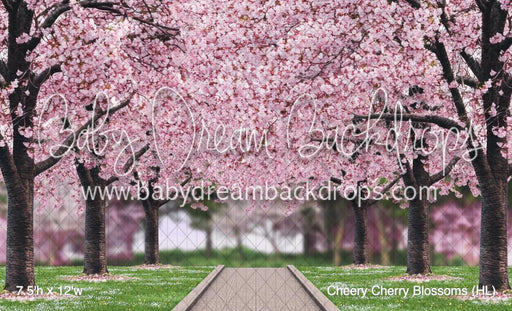 Cheery Cherry Blossoms (HL)