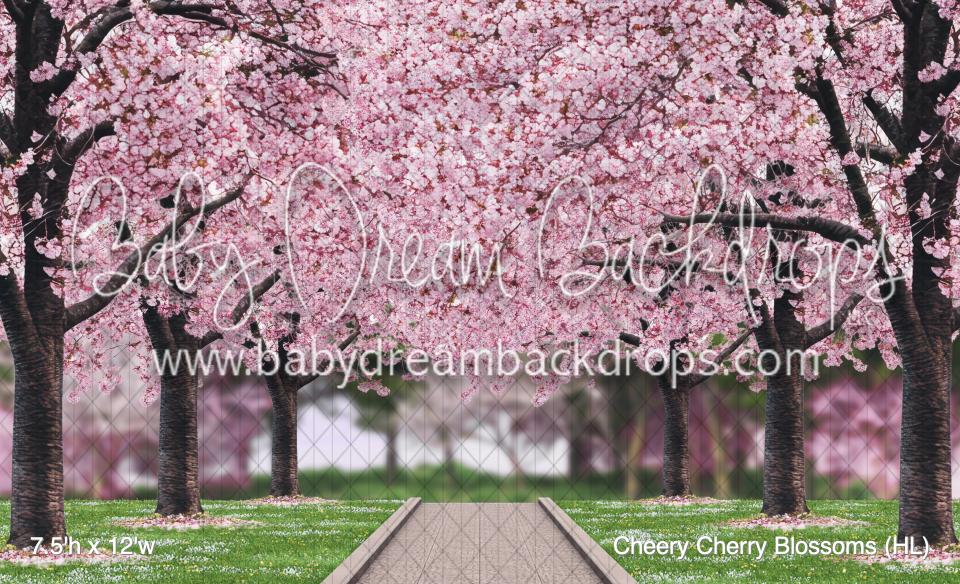 Cheery Cherry Blossoms (HL)