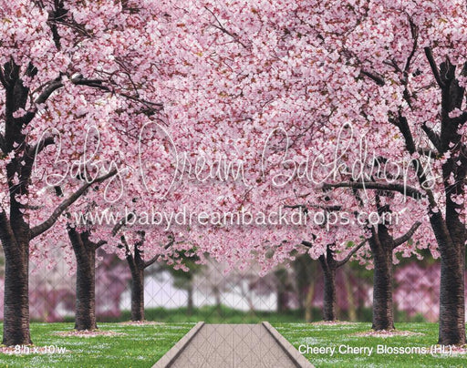 Cheery Cherry Blossoms (HL)