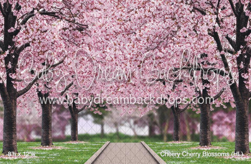 Cheery Cherry Blossoms (HL)