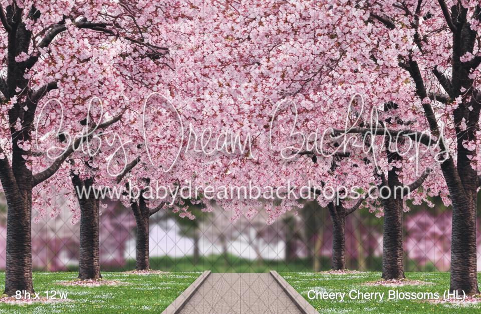 Cheery Cherry Blossoms (HL)