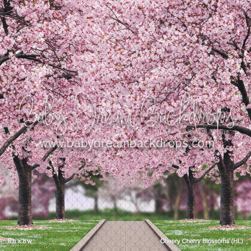 Cheery Cherry Blossoms (HL)