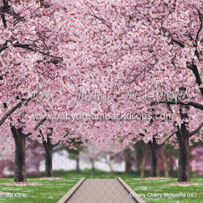 Cheery Cherry Blossoms (HL)