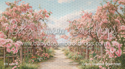 Cherry Blossom Road (WM)