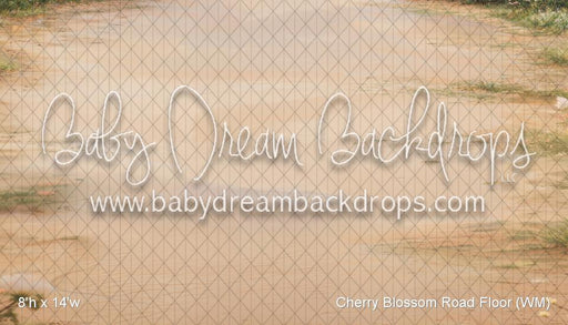 Cherry Blossom Road Fabric Floor (WM)