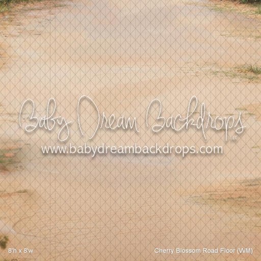 Cherry Blossom Road Floor (WM)