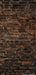 Chicago Brick Two Skinny (CC)