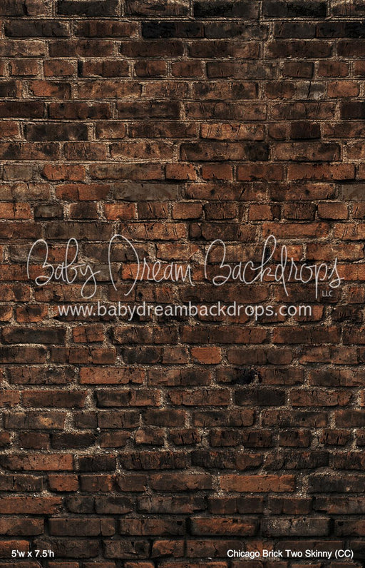 Chicago Brick Two Skinny (CC)