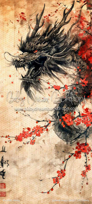 Chinese Dragon RIGHT Skinny (VR)